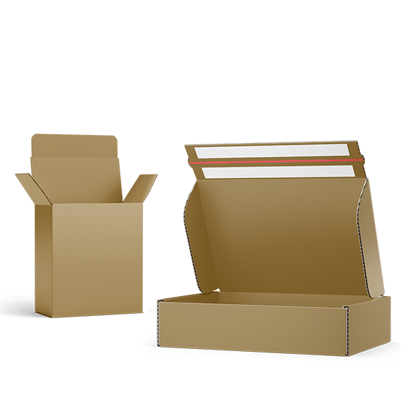 Cartons unprinted